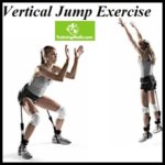 Vertical Jump Exercise